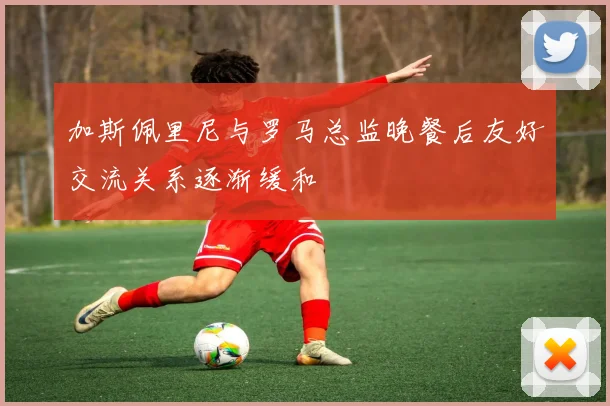 加斯佩里尼与罗马总监晚餐后友好交流关系逐渐缓和